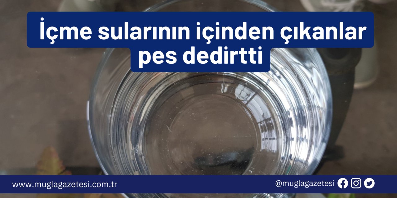 İçme sularının içinden çıkanlar pes dedirtti