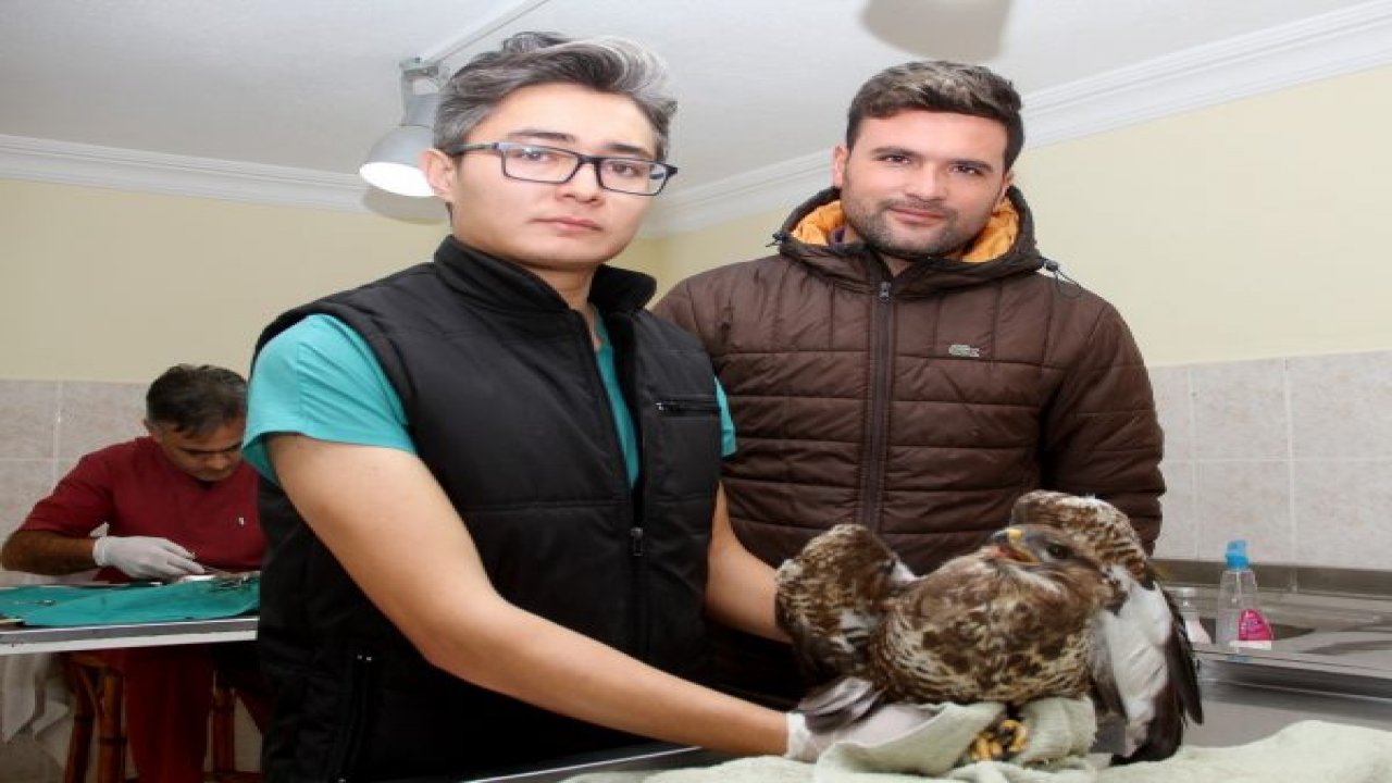 Aç kalan şahine vatandaş şefkati