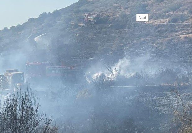 Foça'da orman yangını!