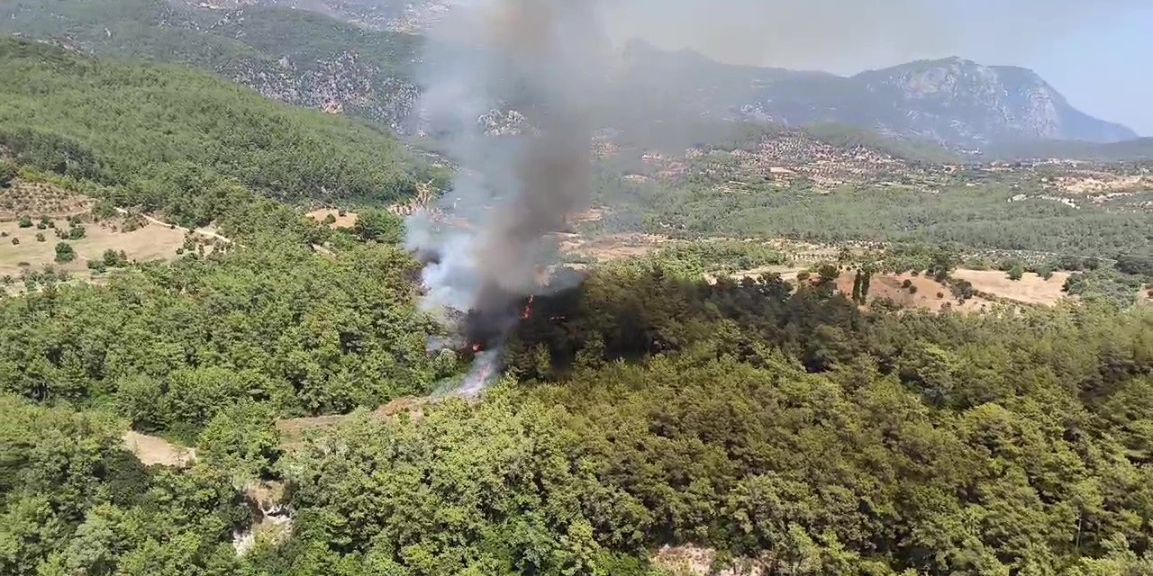 Milas'ta orman yangını çıktı