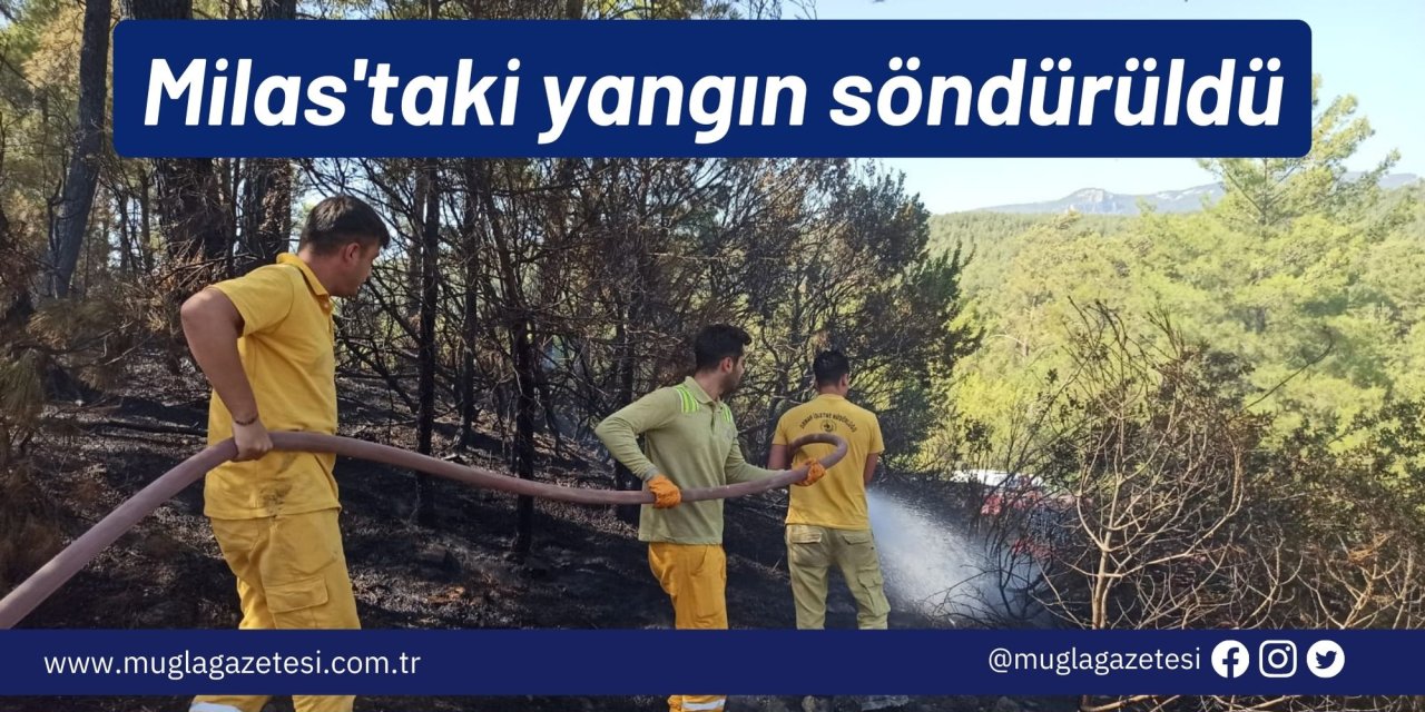 Milas'taki yangın söndürüldü