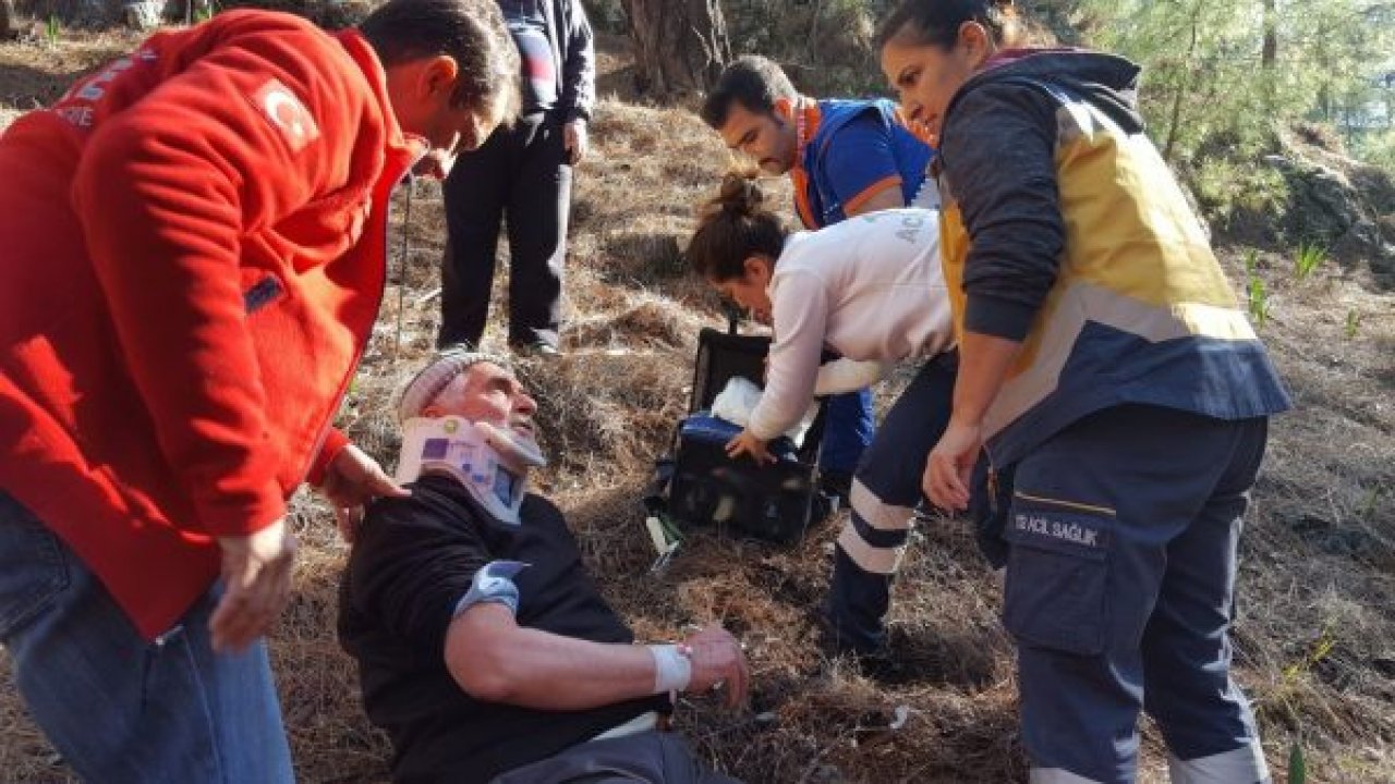 Çıntar toplarken düştü