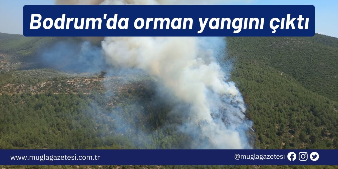 Bodrum'da orman yangını çıktı