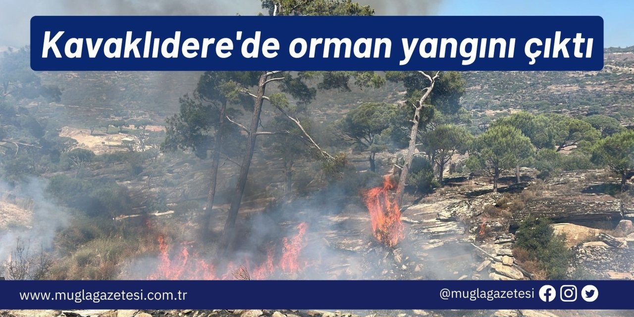 Kavaklıdere'de orman yangını çıktı