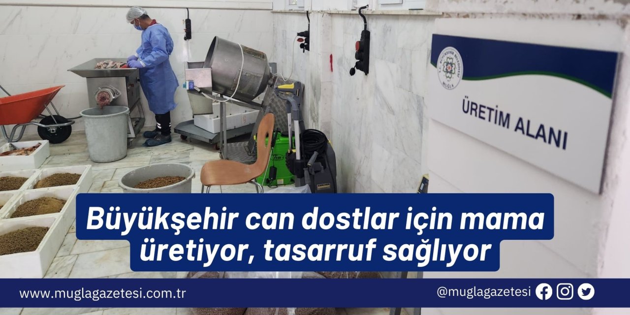 Büyükşehir can dostlar için mama üretiyor, tasarruf sağlıyor