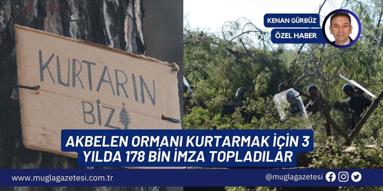 AKBELEN ORMANI KURTARMAK İÇİN 3 YILDA 178 BİN İMZA TOPLADILAR