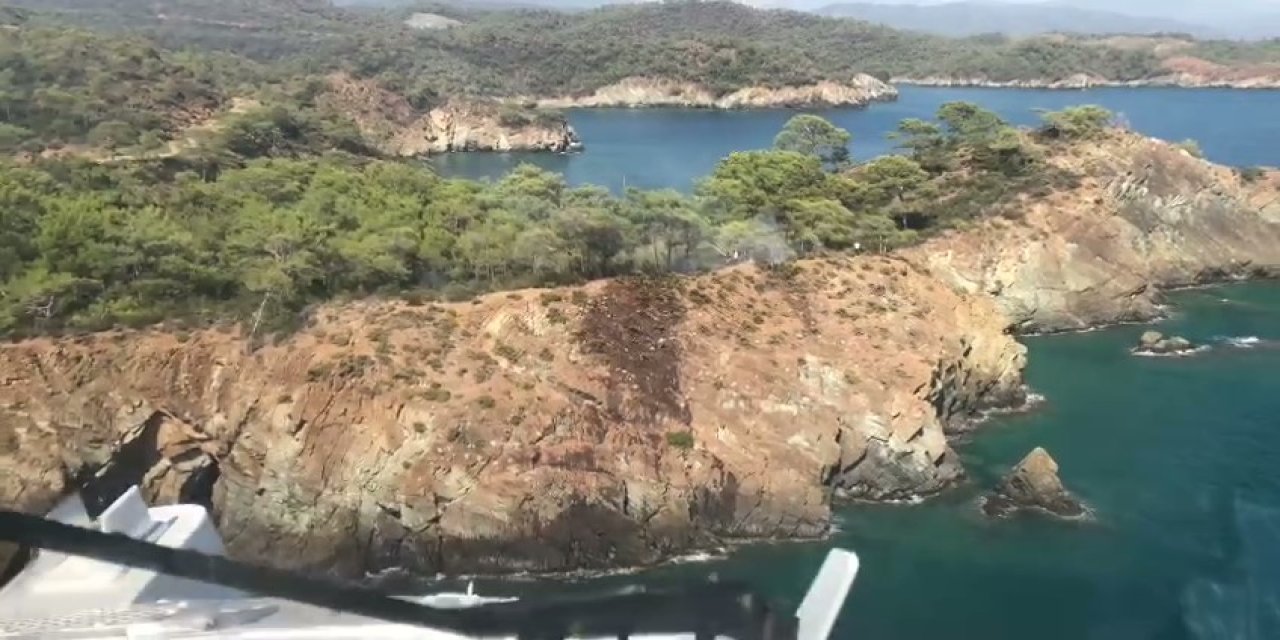 Fethiye'de ormanlık alanda yangın çıktı