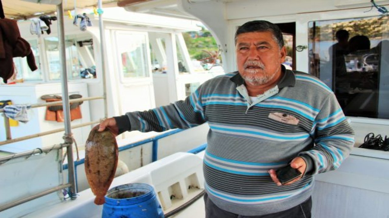 Yunan askerleri tacizi arttırdı