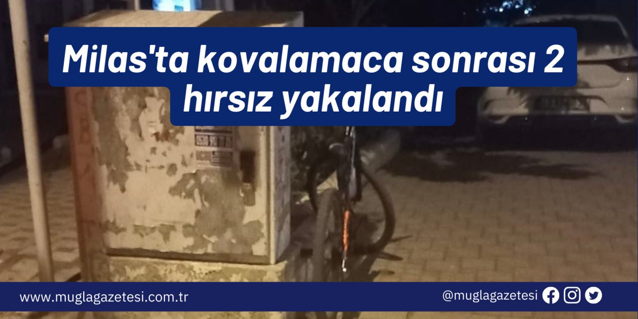 Milas'ta kovalamaca sonrası 2 hırsız yakalandı