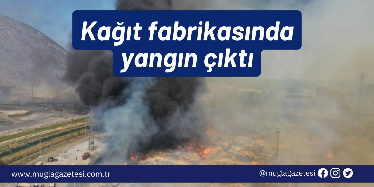 Kağıt fabrikasında yangın çıktı