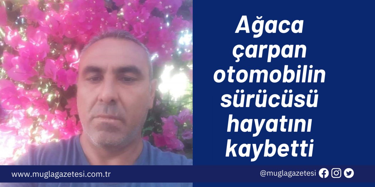 Ağaca çarpan otomobilin sürücüsü hayatını kaybetti