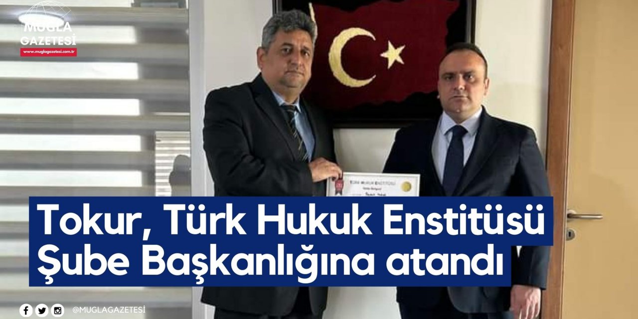 Tokur, Türk Hukuk Enstitüsü Şube Başkanlığına atandı