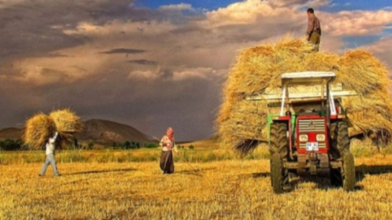 Çiftçi destekleme ödemeleri