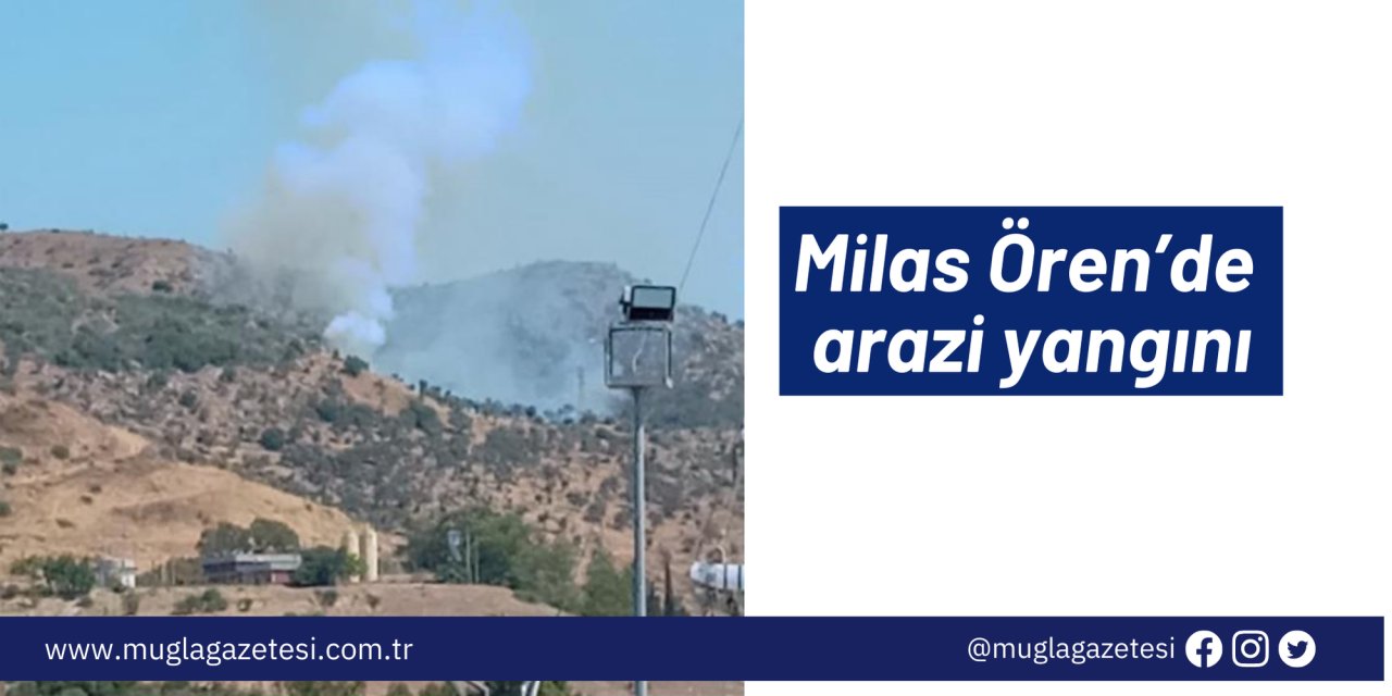 Milas Ören’de arazi yangını