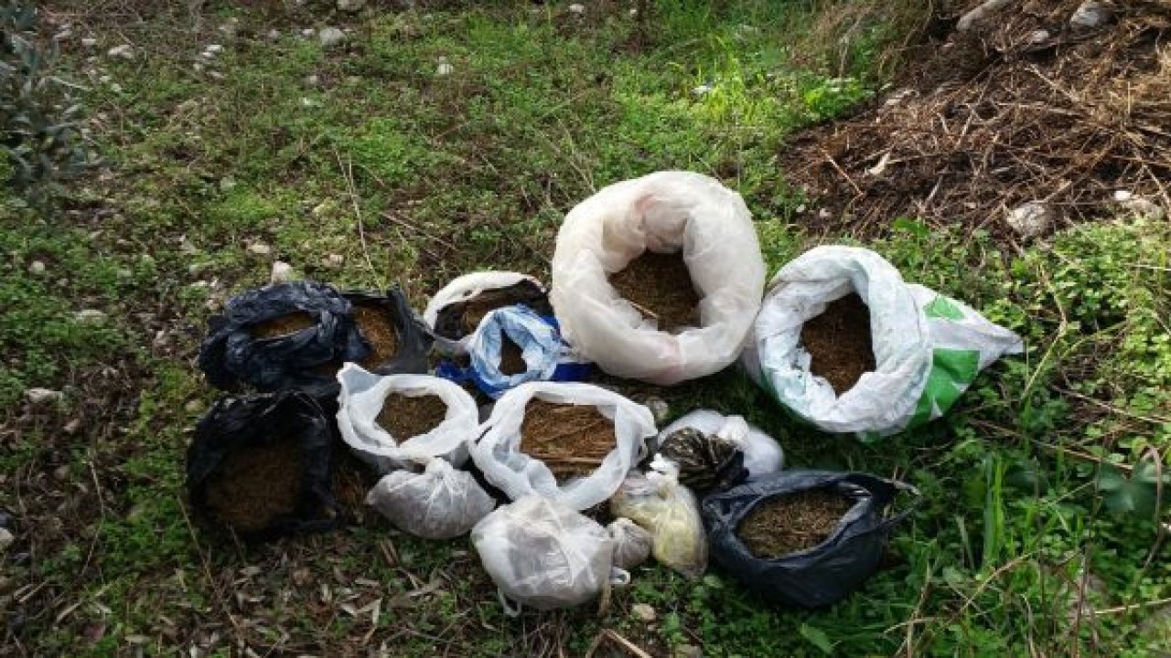 Uyuşturucu operasyonu