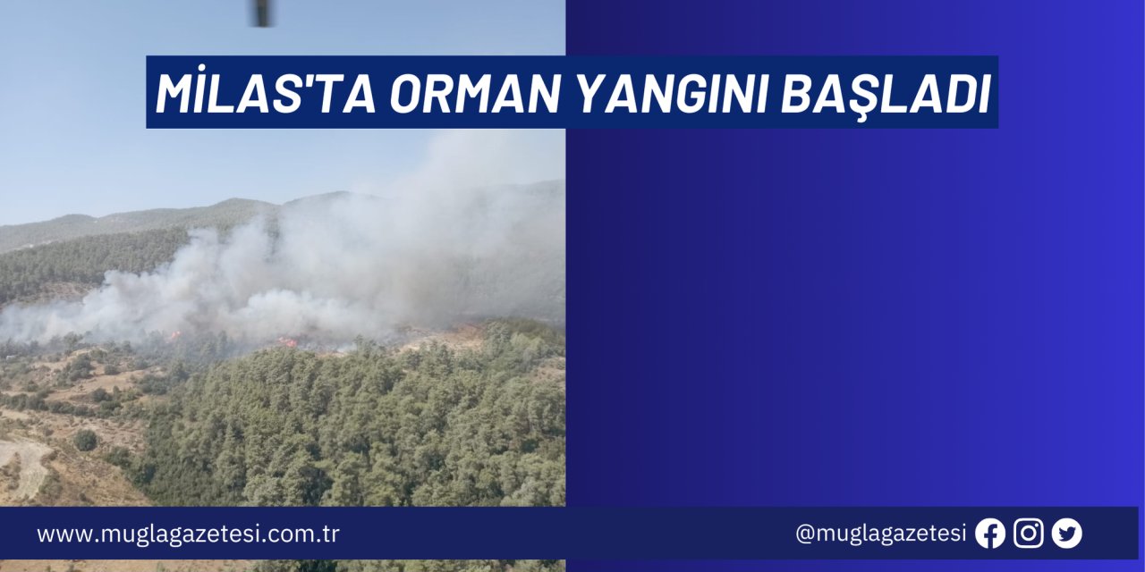 MİLAS'TA ORMAN YANGINI BAŞLADI