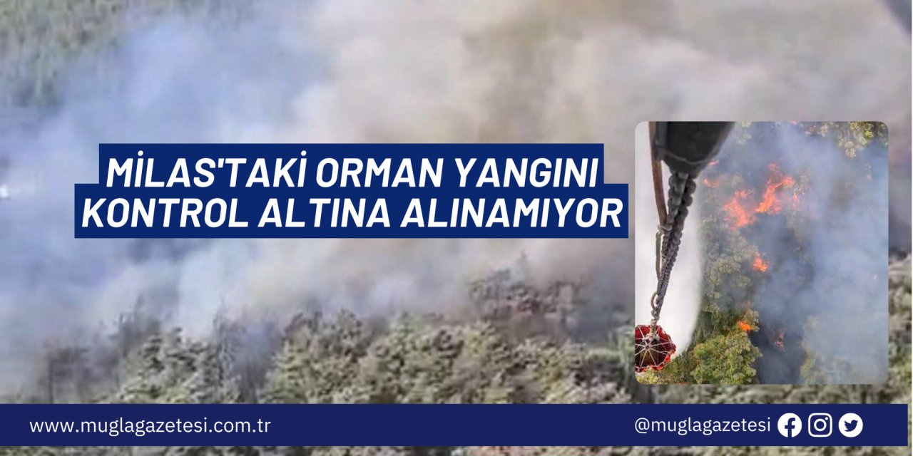MİLAS'TAKİ ORMAN YANGINI KONTROL ALTINA ALINAMIYOR