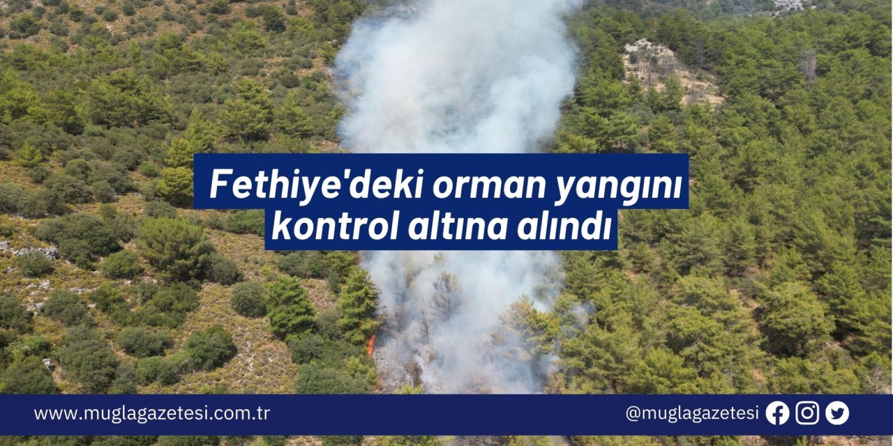 Fethiye'deki orman yangını kontrol altına alındı