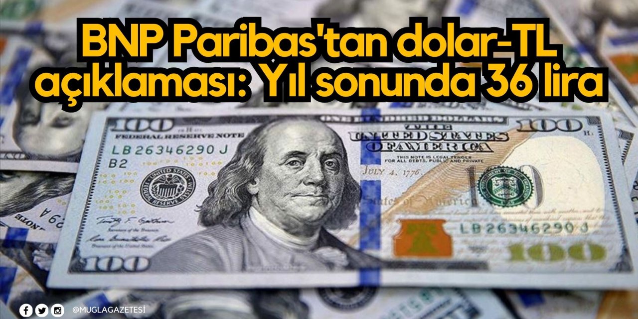BNP Paribas'tan dolar-TL açıklaması: Yıl sonunda 36 lira