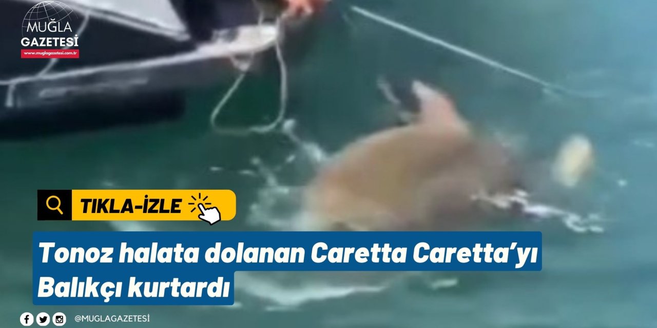 Tonoz halata dolanan Caretta Caretta’yı Balıkçı kurtardı