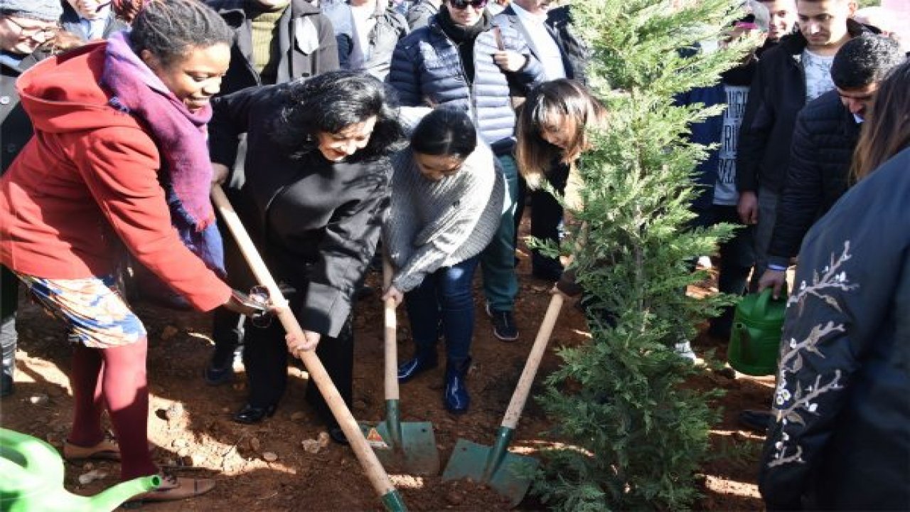 Vali Civelek, fidan dikim törenine katıldı