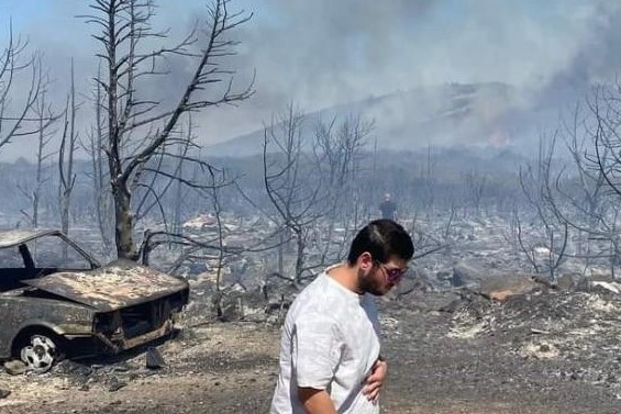 Korkutan yangın! Hayvanlar telef oldu