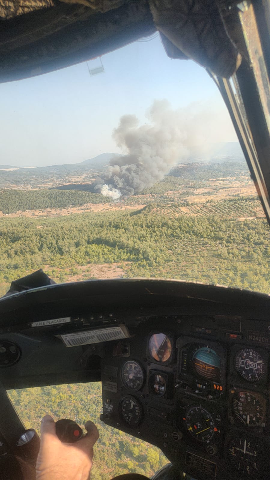 MİLAS'TA ORMAN YANGINI BAŞLADI