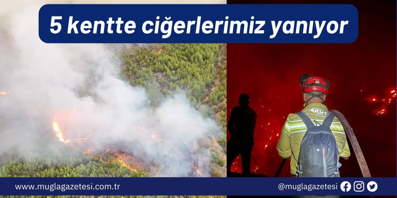 5 kentte ciğerlerimiz yanıyor