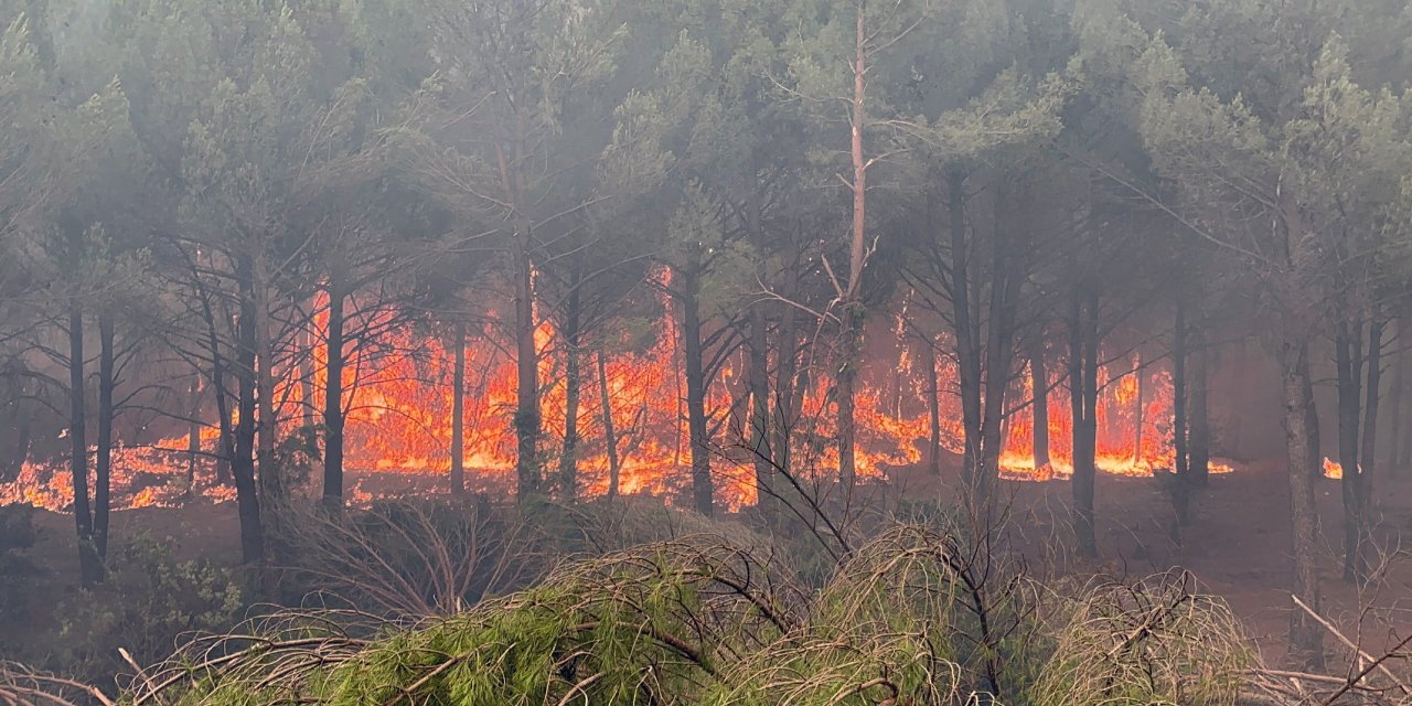 Muğla’da ormancıların karşı ateşiyle mahalle kurtarıldı