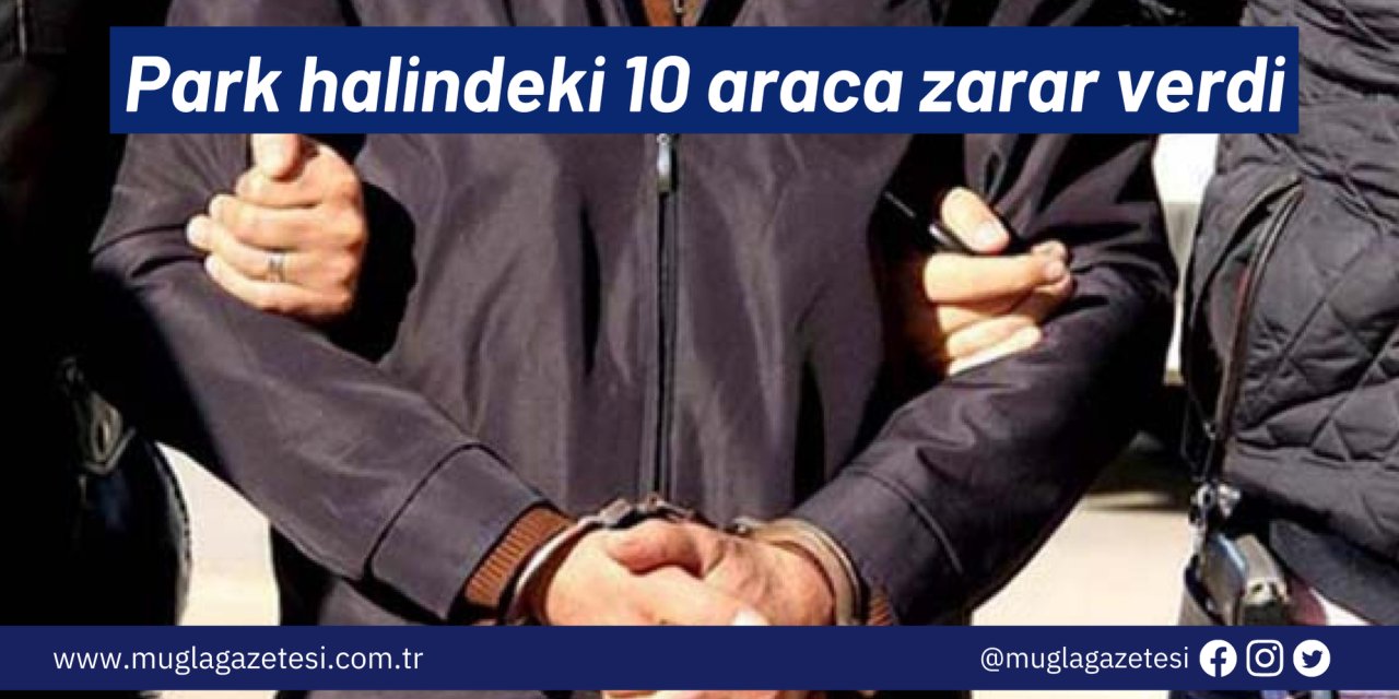 Park halindeki 10 araca zarar verdi