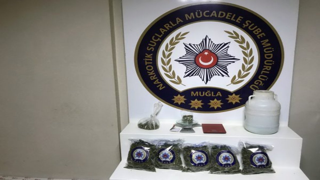 Üniversitelilere uyuşturucu baskını