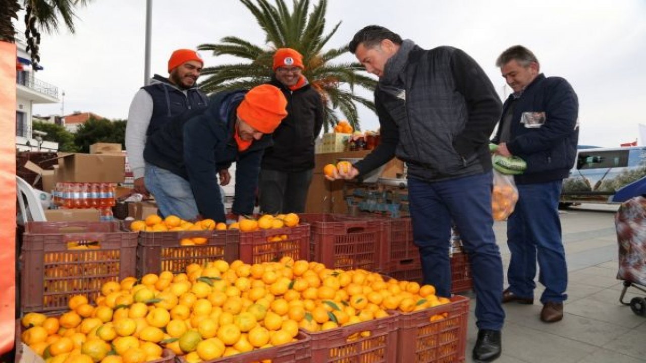 12. Bodrum Mandalina Şenliği