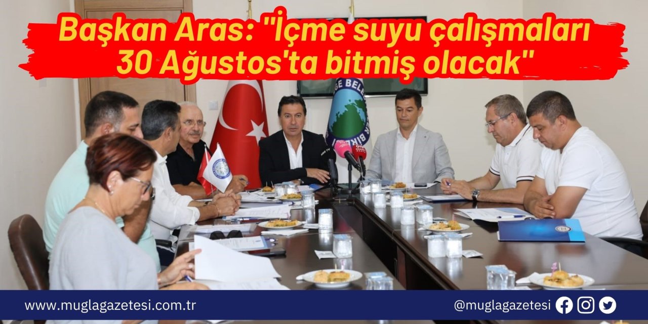 Başkan Aras: 