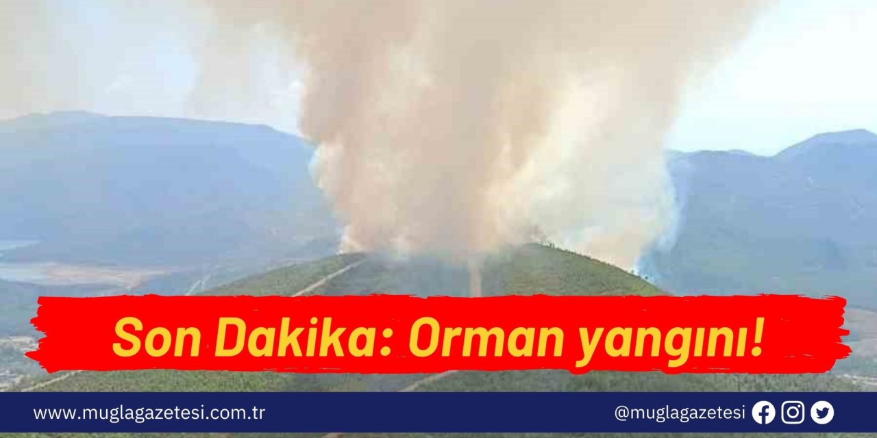 Son Dakika: Orman yangını!
