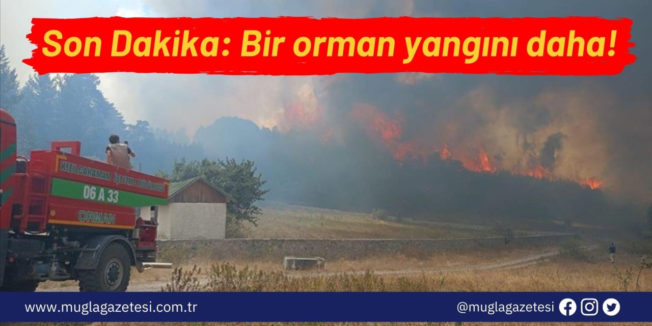 Son Dakika: Bir orman yangını daha!