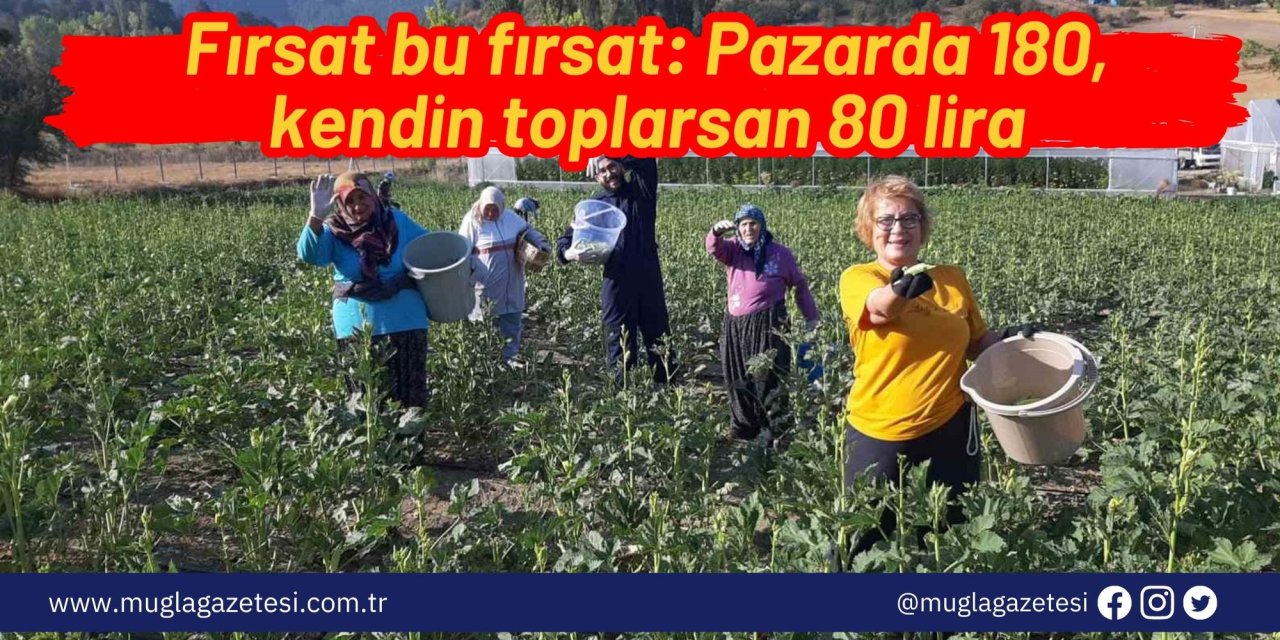 Fırsat bu fırsat: Pazarda 180, kendin toplarsan 80 lira