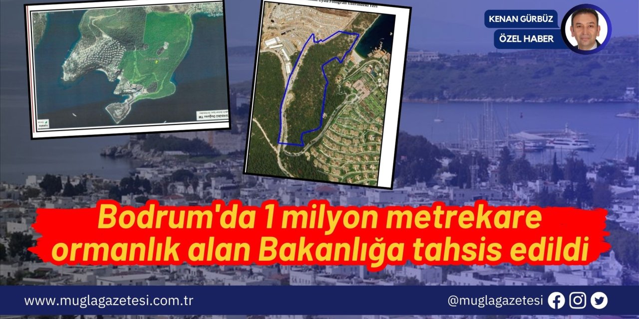 Bodrum'da 1 milyon metrekare ormanlık alan Bakanlığa tahsis edildi