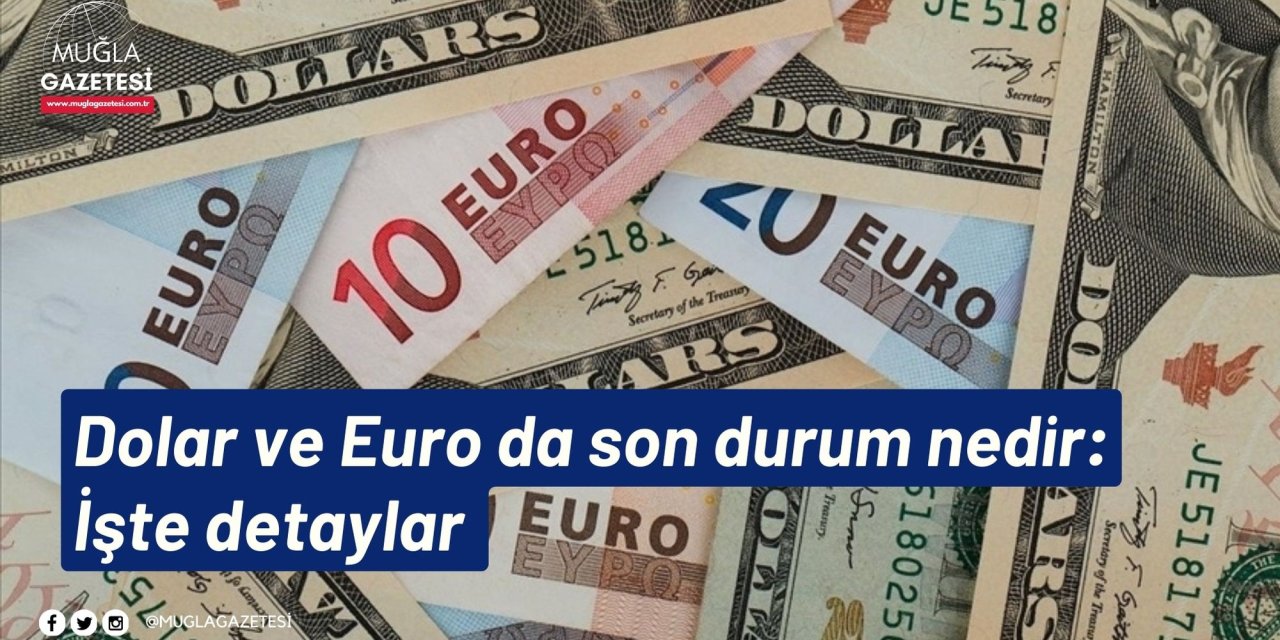 Dolar ve Euro da son durum nedir: İşte detaylar