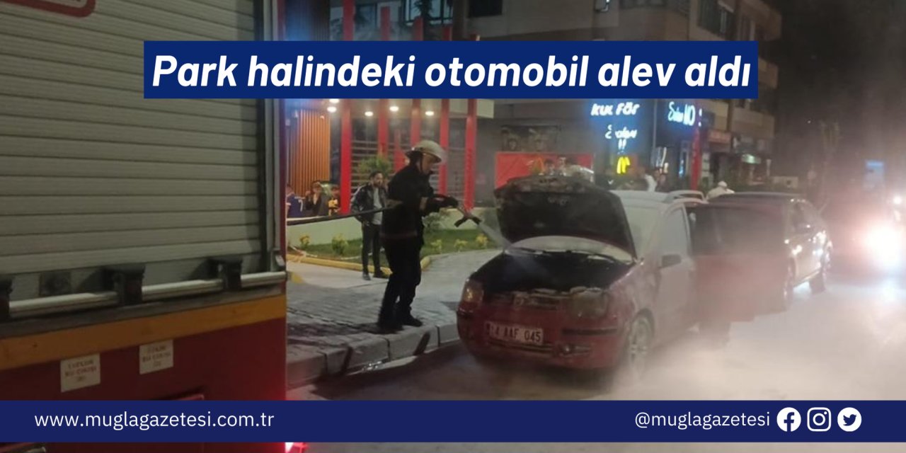 Park halindeki otomobil alev aldı