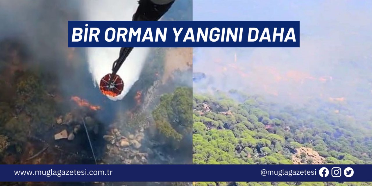 BİR ORMAN YANGINI DAHA