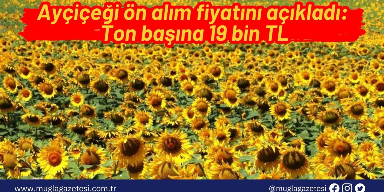 Ayçiçeği ön alım fiyatını açıkladı: Ton başına 19 bin TL