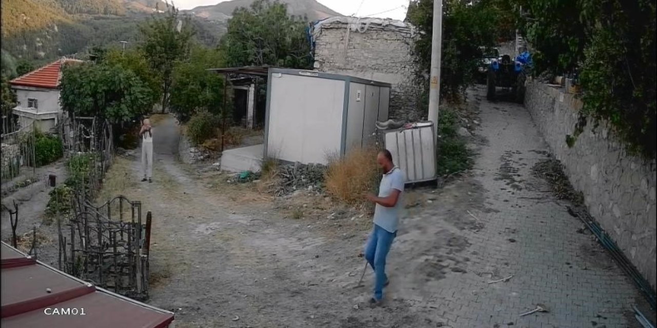 Görüntüler dehşete düşürdü: Koyunlar incir bahçesine girdi diye çobanı öldürdü