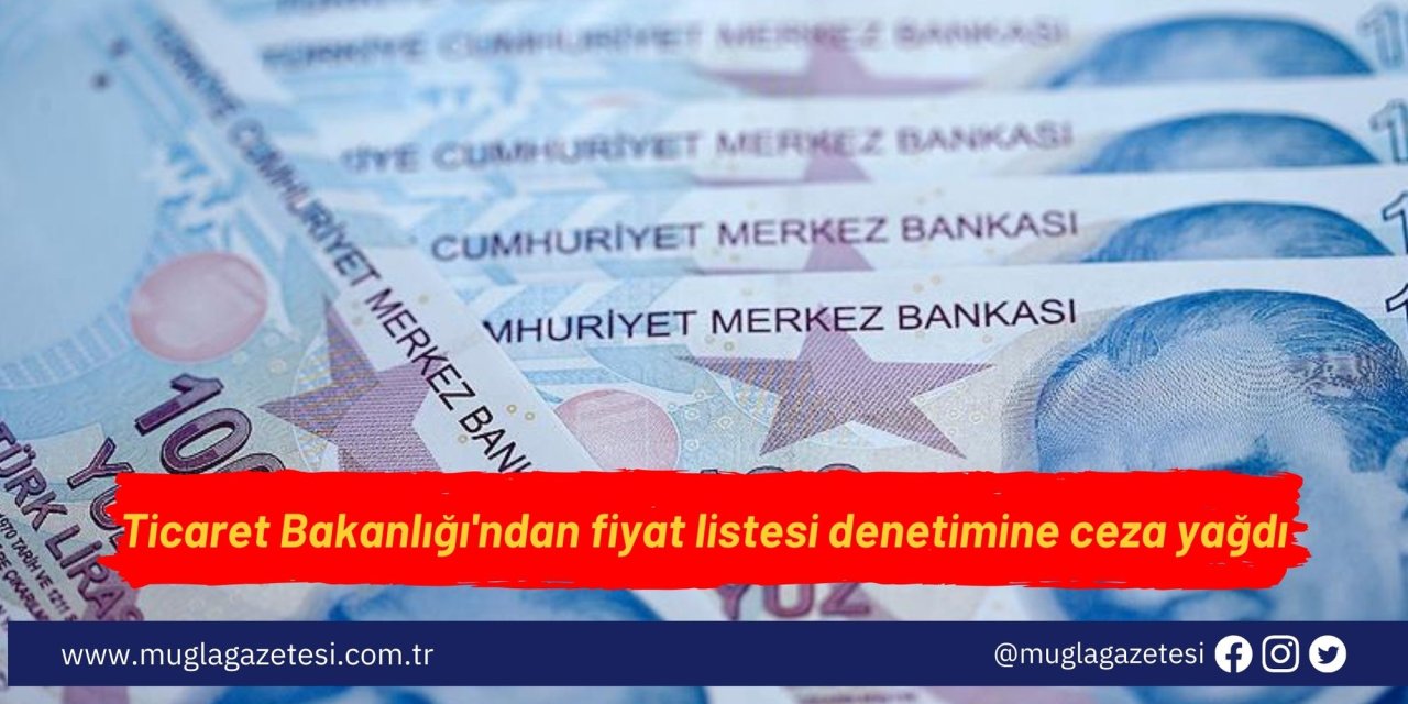Ticaret Bakanlığı'ndan fiyat listesi denetimine ceza yağdı