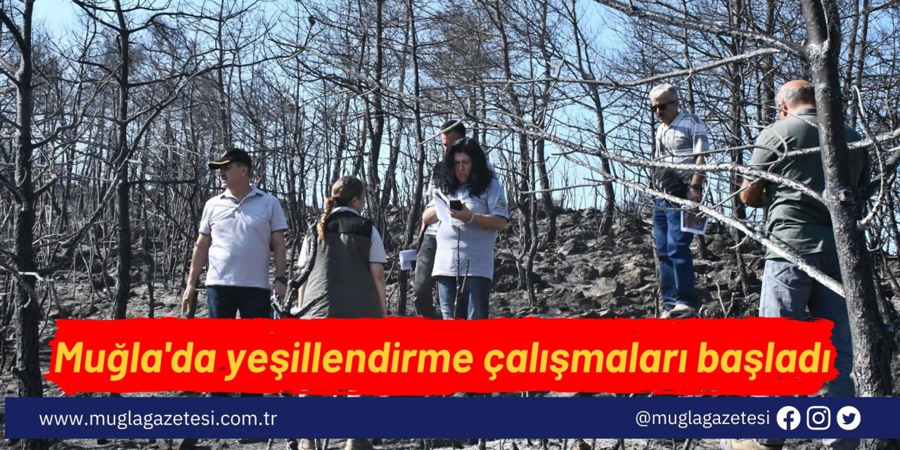 Muğla'da yeşillendirme çalışmaları başladı