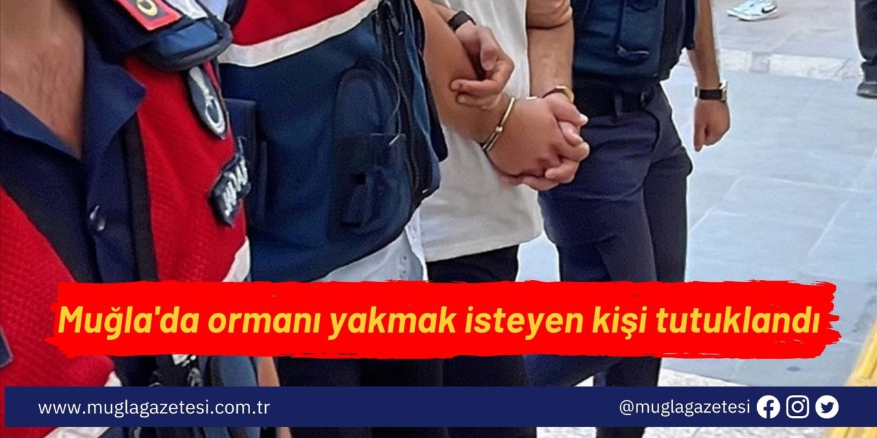 Muğla'da ormanı yakmak isteyen kişi tutuklandı