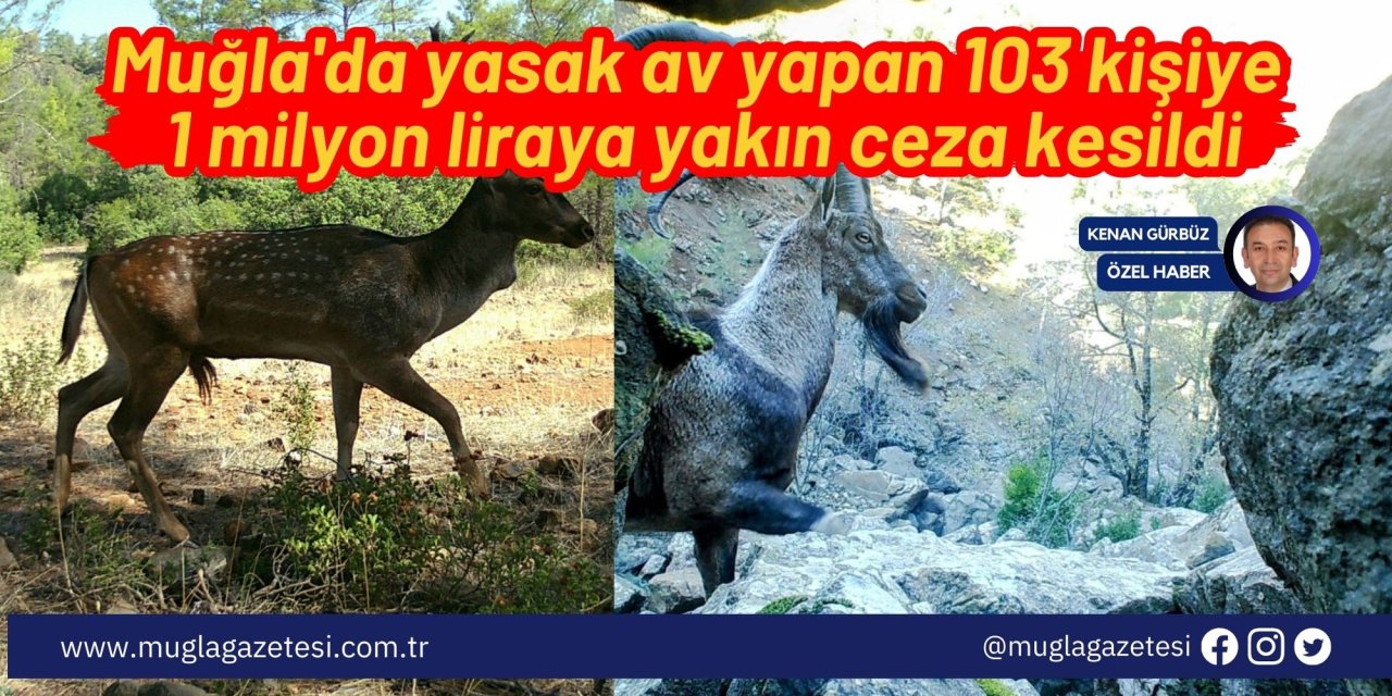 Muğla'da yasak av yapan 103 kişiye 1 milyon liraya yakın ceza kesildi