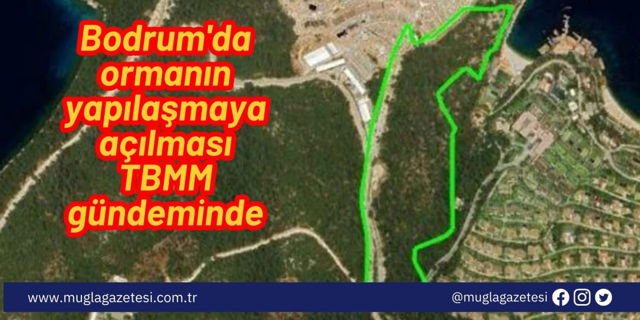 Bodrum'da ormanın yapılaşmaya açılması TBMM gündeminde