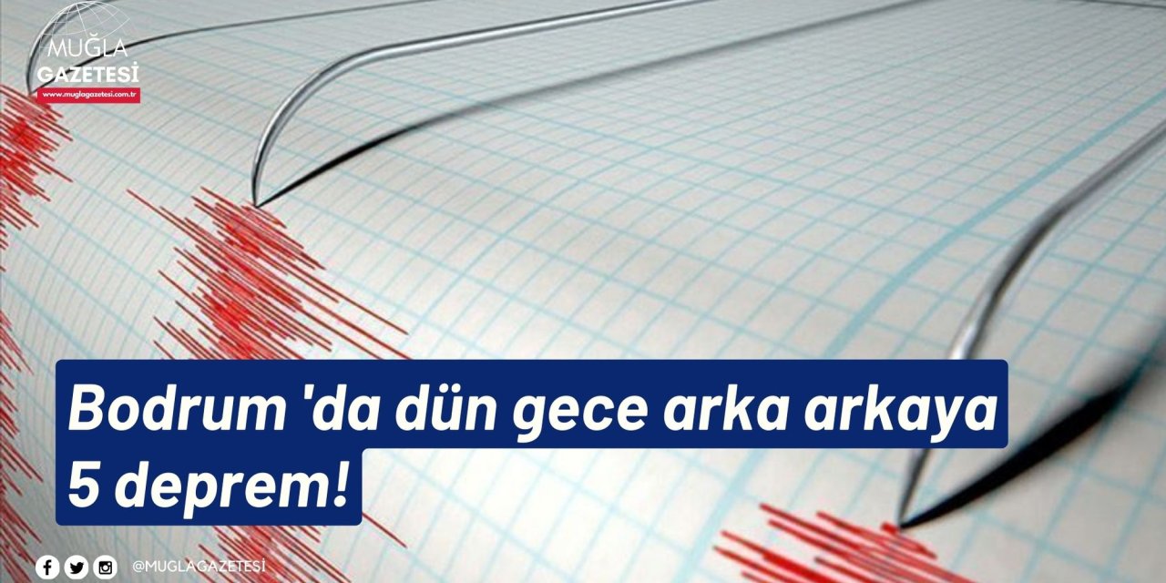 Bodrum 'da dün gece arka arkaya 5 deprem!