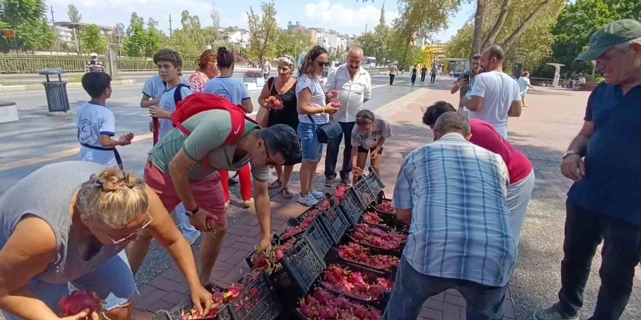 Aracılara kızdı: Ejder meyvelerini bedava dağıttı