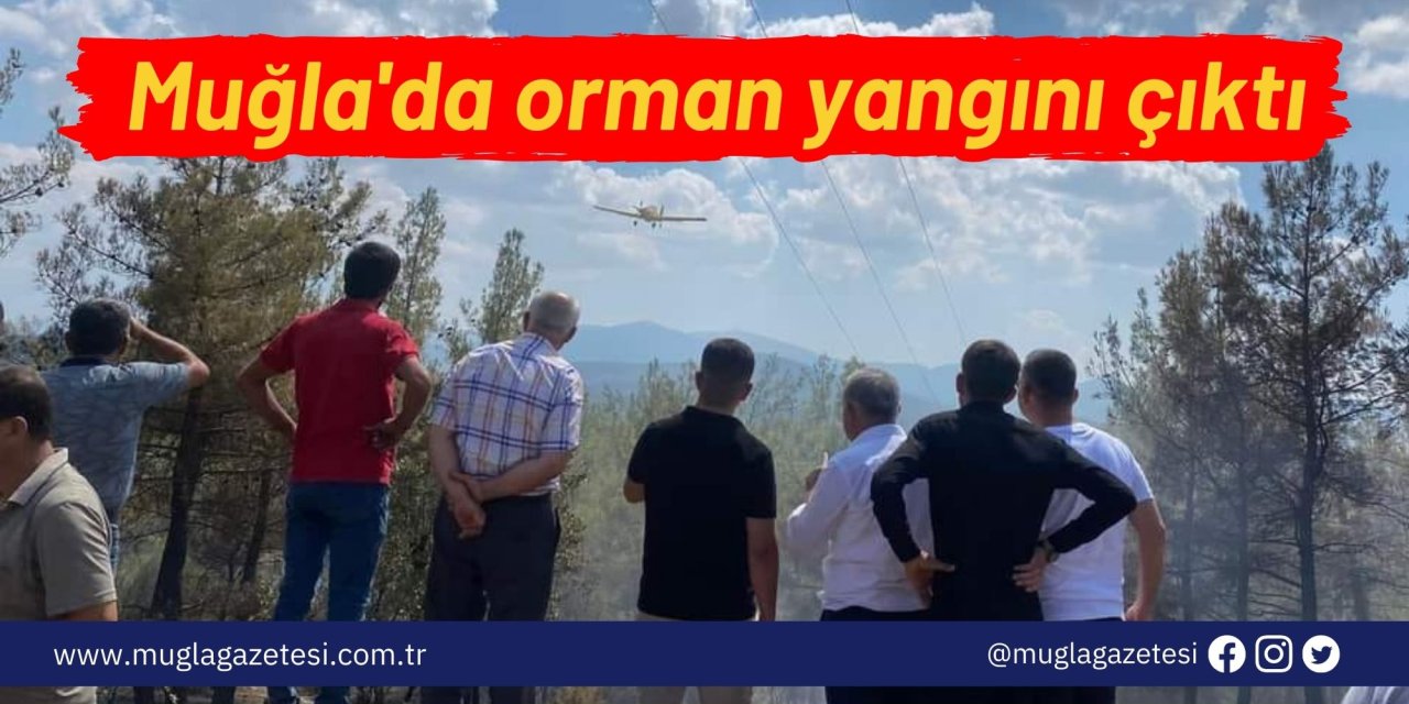 Muğla'da orman yangını çıktı